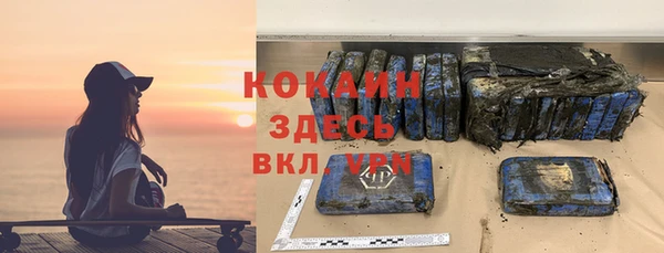 шишки Алзамай