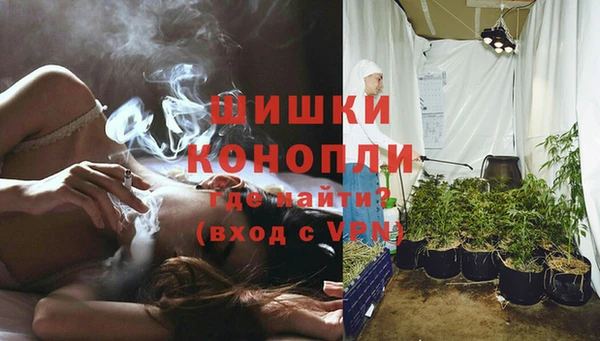 шишки Алзамай