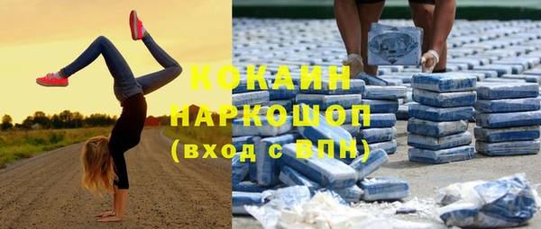 шишки Алзамай