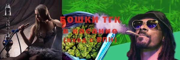 шишки Алзамай